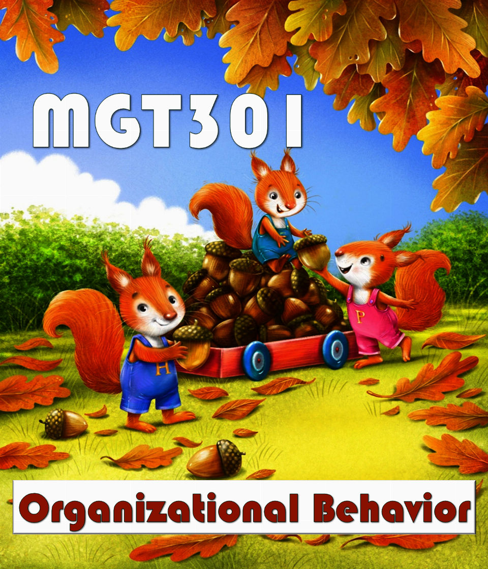 Organizational Behavior (MGT301)