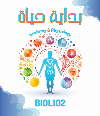 Introduction to Anatomy &amp; Physiology(BIOL102)