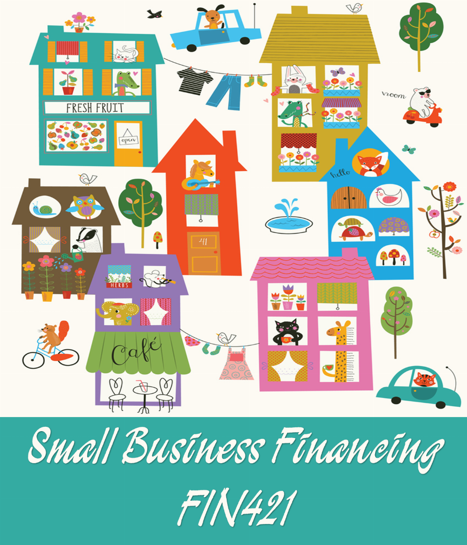 FIN421 Small Business Financing