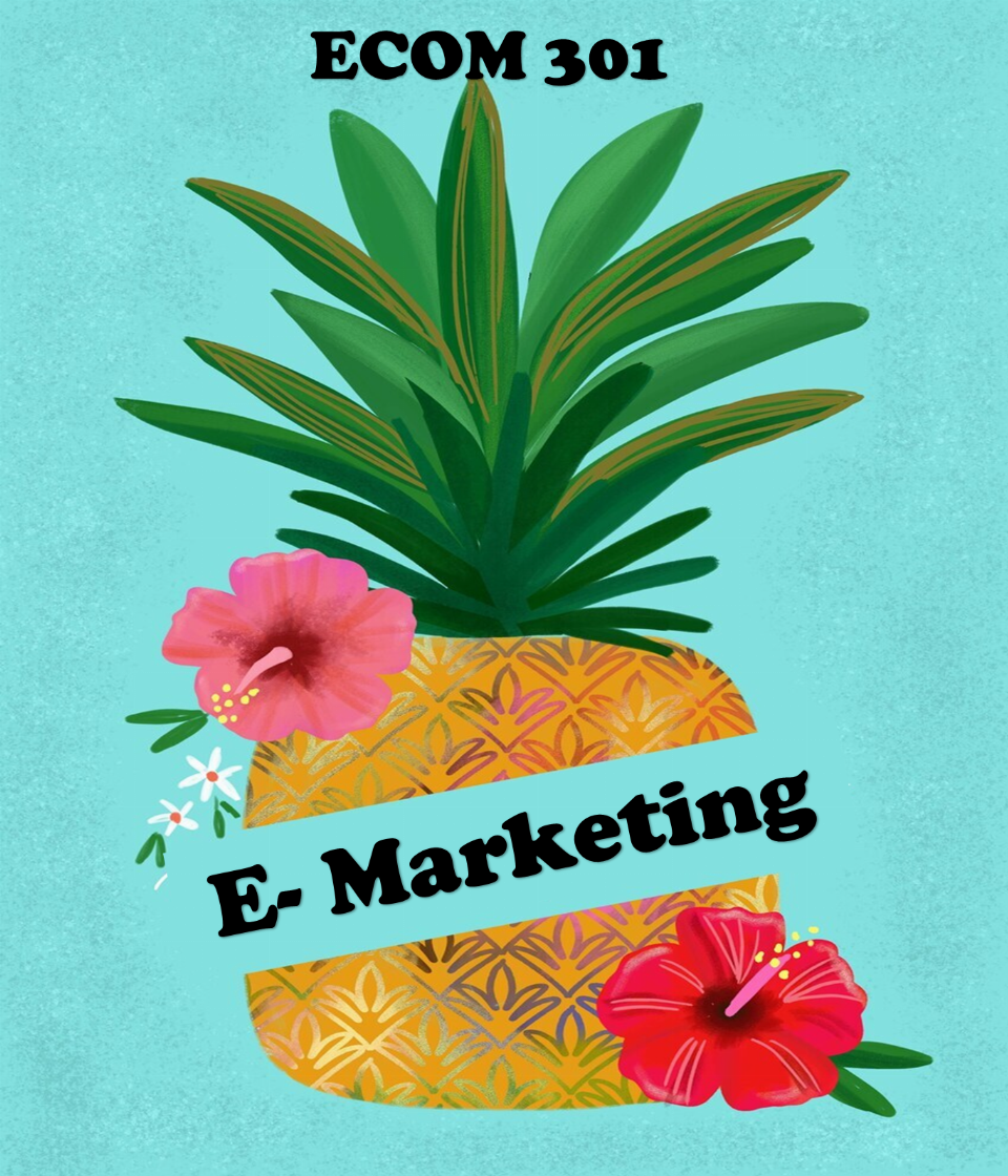 ECOM301 E-marketing