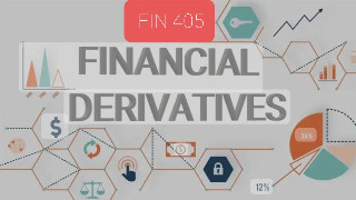 FIN-405 FINANCIAL DERIVATIVES