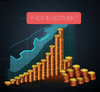 FIN-403 INVESTMENTS