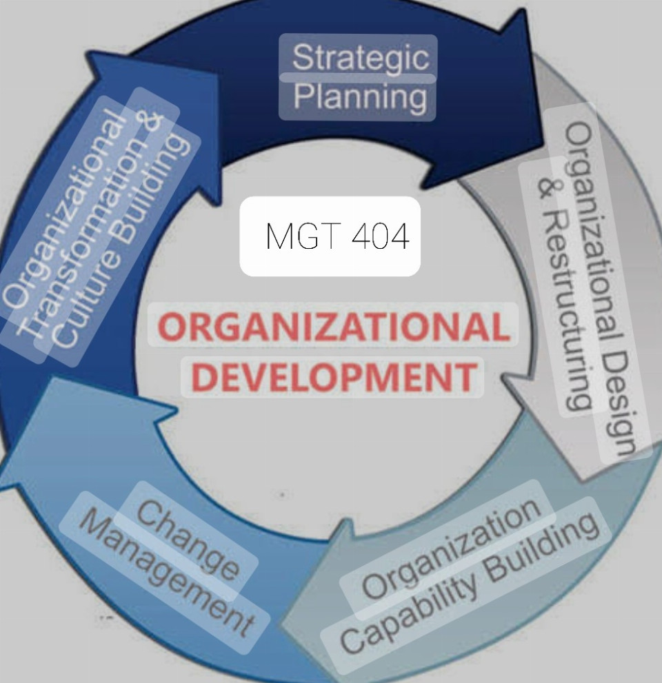 MGT-404 ORGANIZATION DESIGN AND DEVELOPMENT