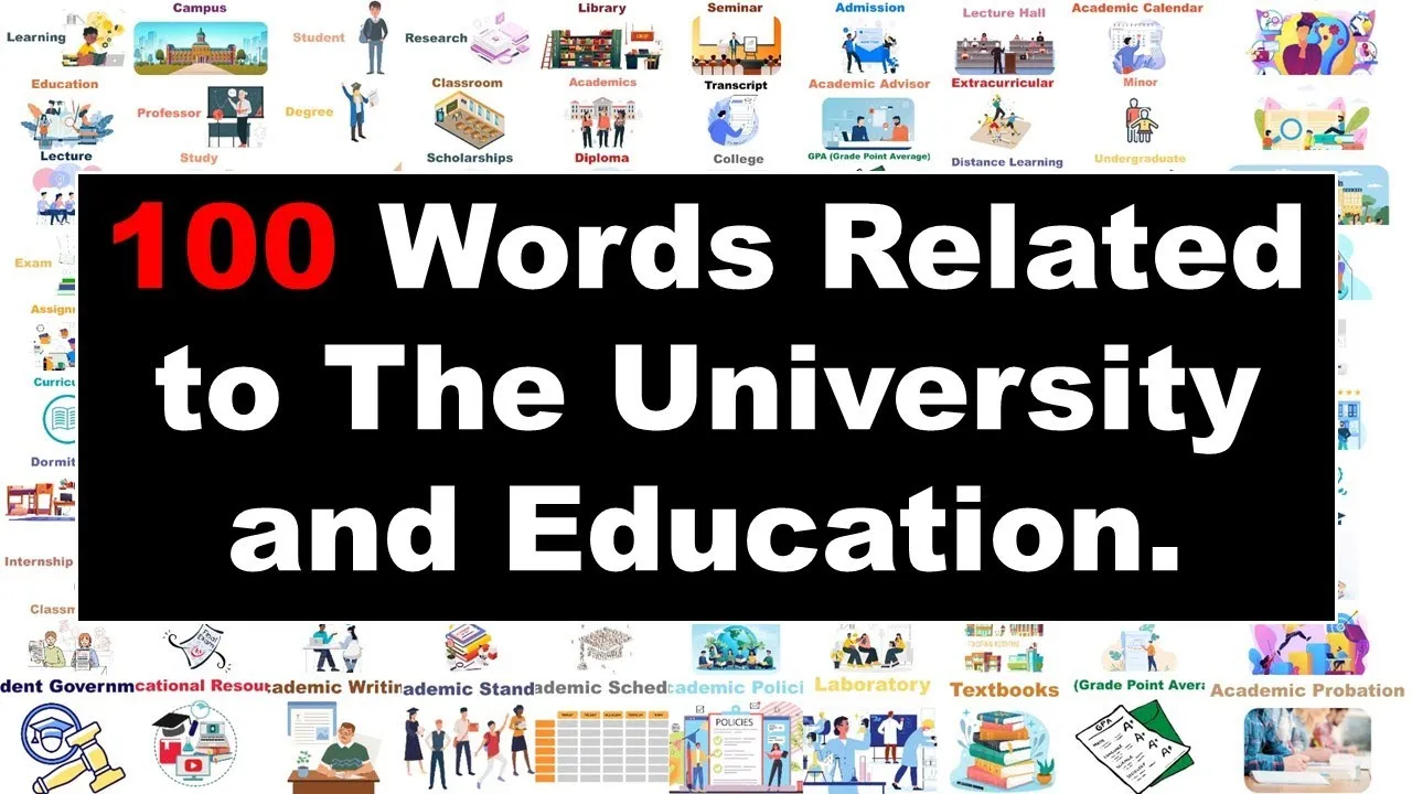 Words Related to The University & Education