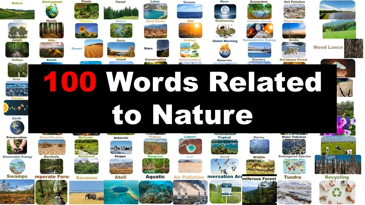 Words Related to Nature