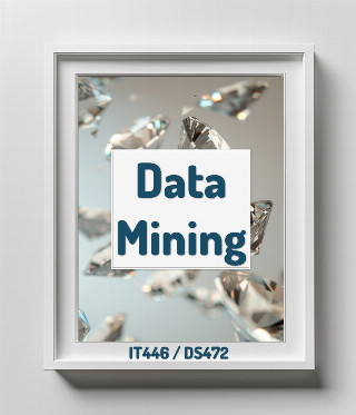 Data Mining (IT446/DS472)