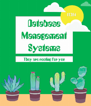 Database Management Systems (IT354)