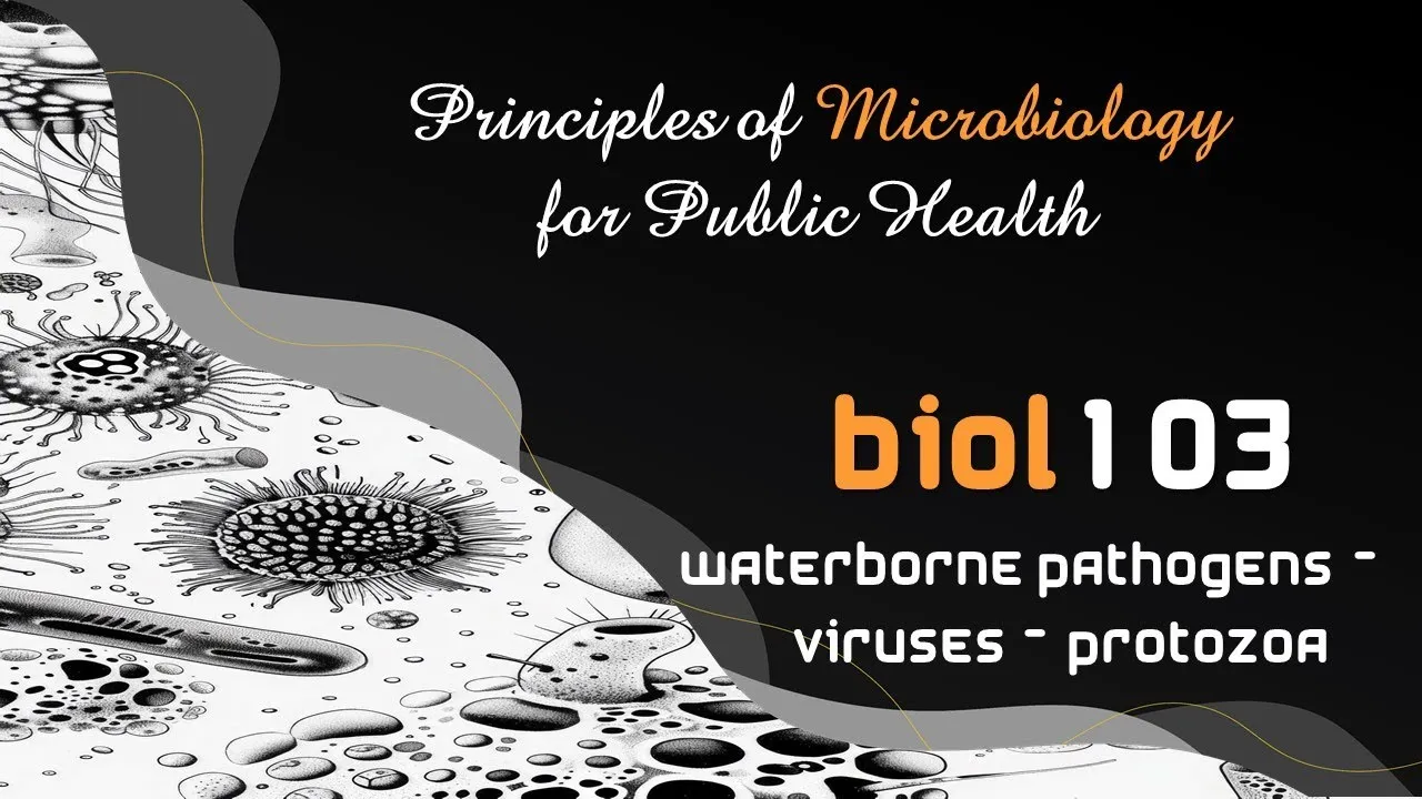 Waterborne Pathogens - Viruses - Protozoa