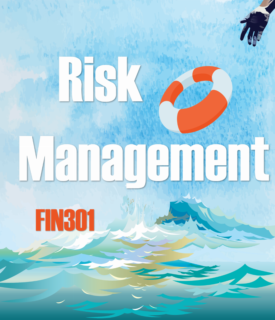 Risk Management (FIN301)