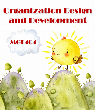 Organization Design and Development (MGT404)