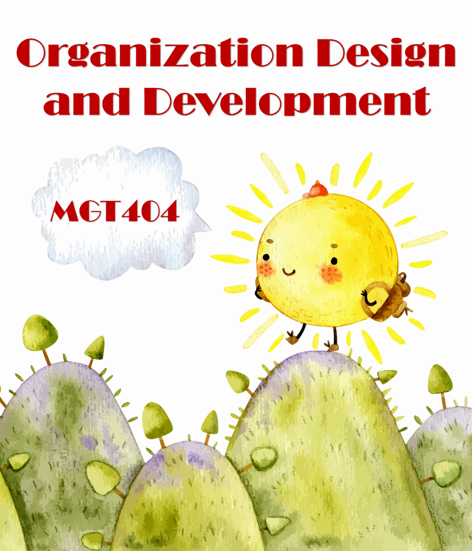 Organization Design and Development (MGT404)