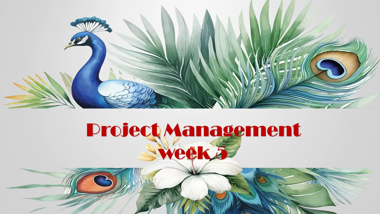Week 5