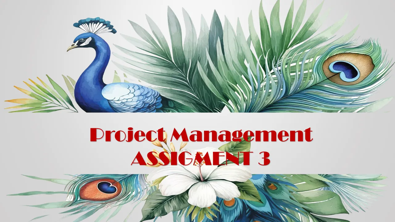 Assignment 3