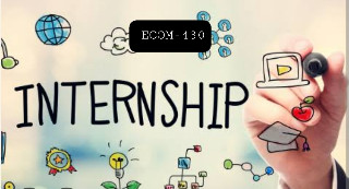 Internship (Ecom430)