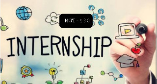 MGT430 INTERNSHIP