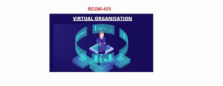 Virtual Organization Management (ECOM425)