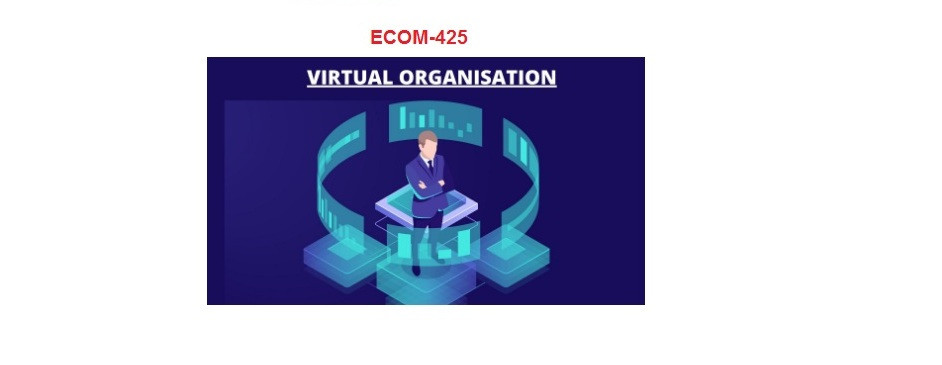 Virtual Organization Management (ECOM425)