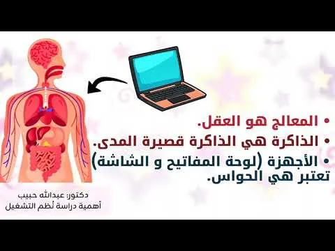 The Importance of OS Course