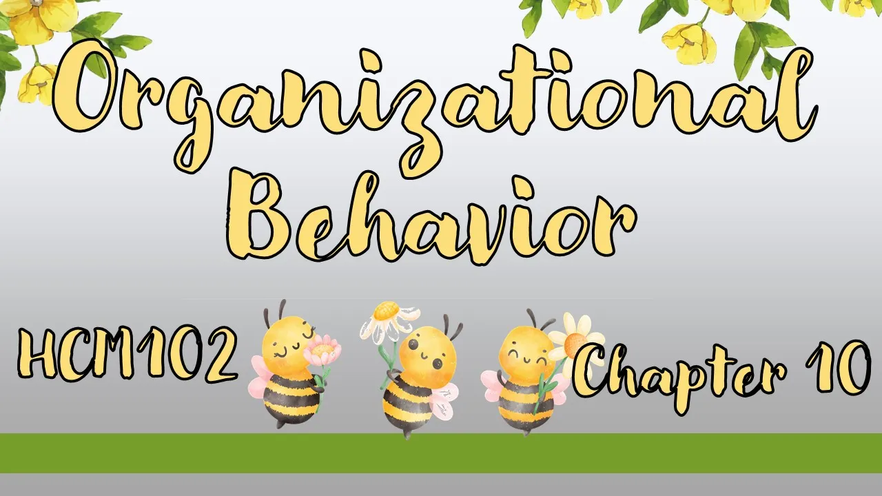 Chapter 10: Conflict & Negotiation