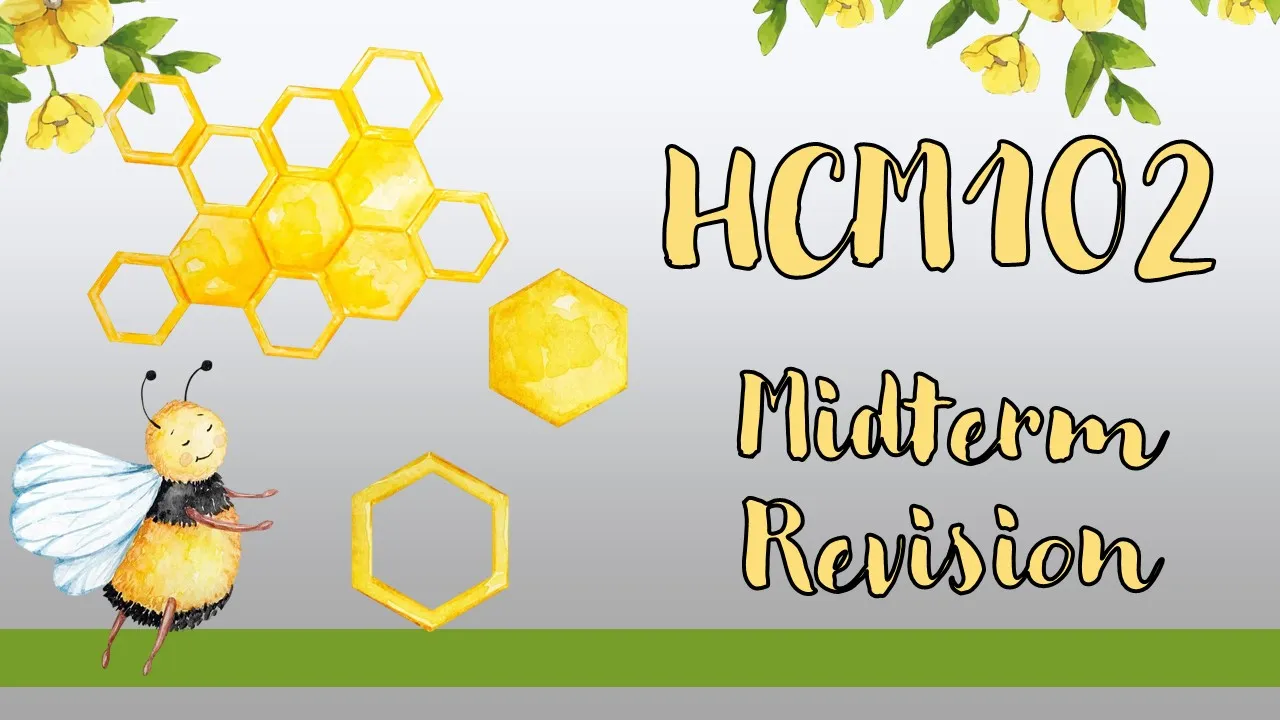 Midterm Revision