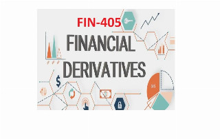 FIN405 Financial Derivatives