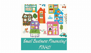 FIN421 SMALL BUSINESS FINANCING
