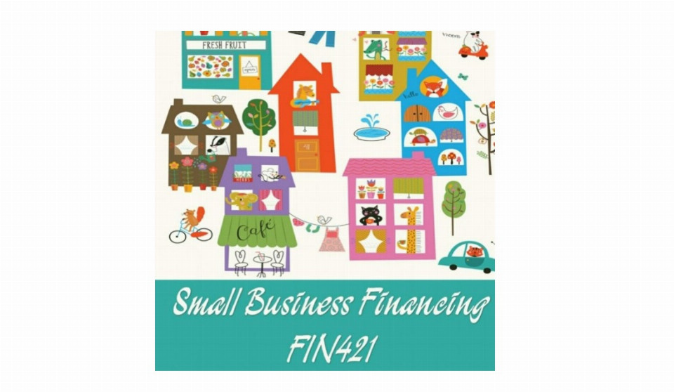 FIN421 SMALL BUSINESS FINANCING