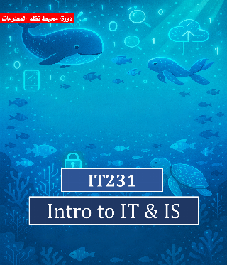 Introduction to IT &amp; IS (IT231)