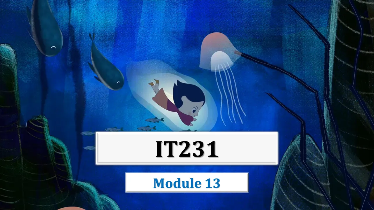 Module 13