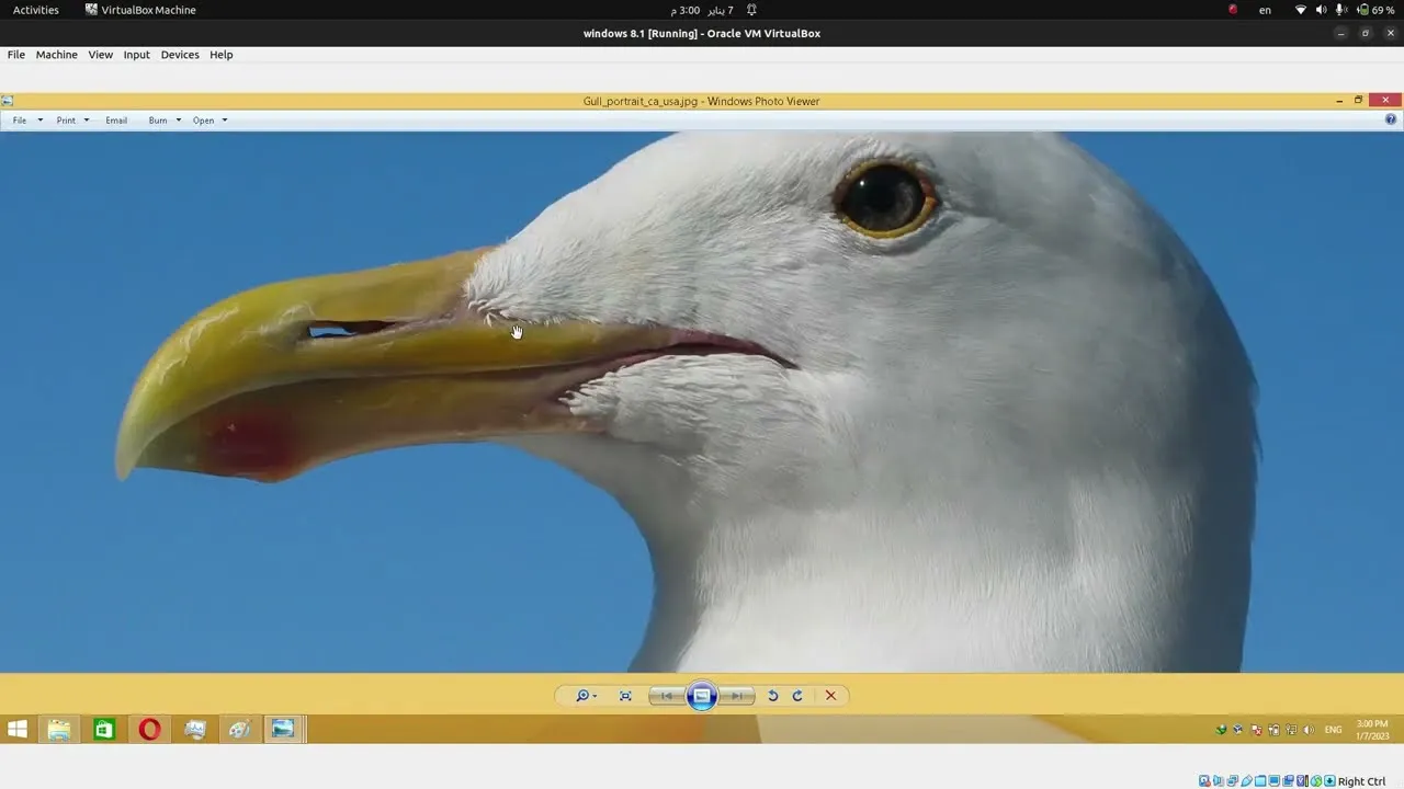 Steganography Hide data inside images [LAB]