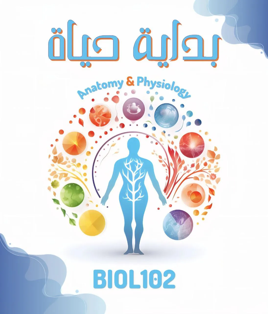 The Digestive System