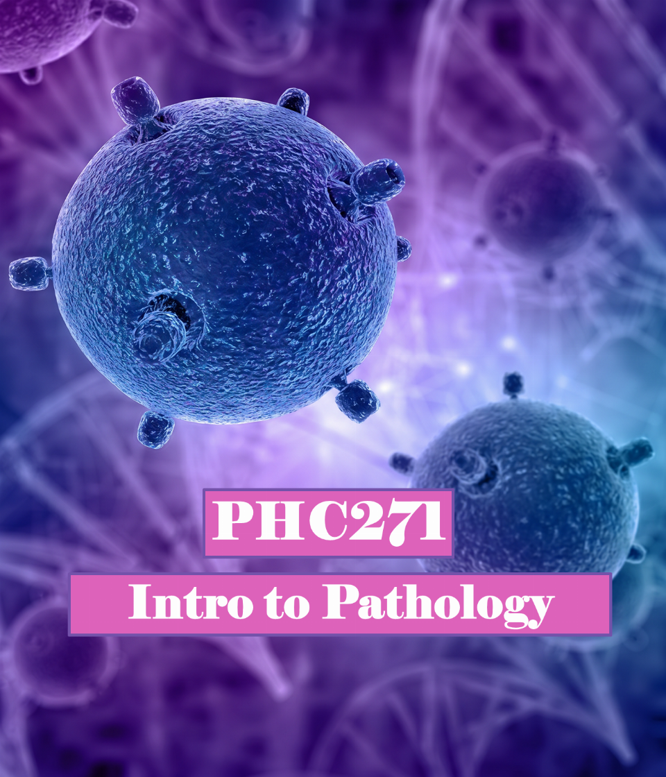 Intro to Pathology (PHC271)
