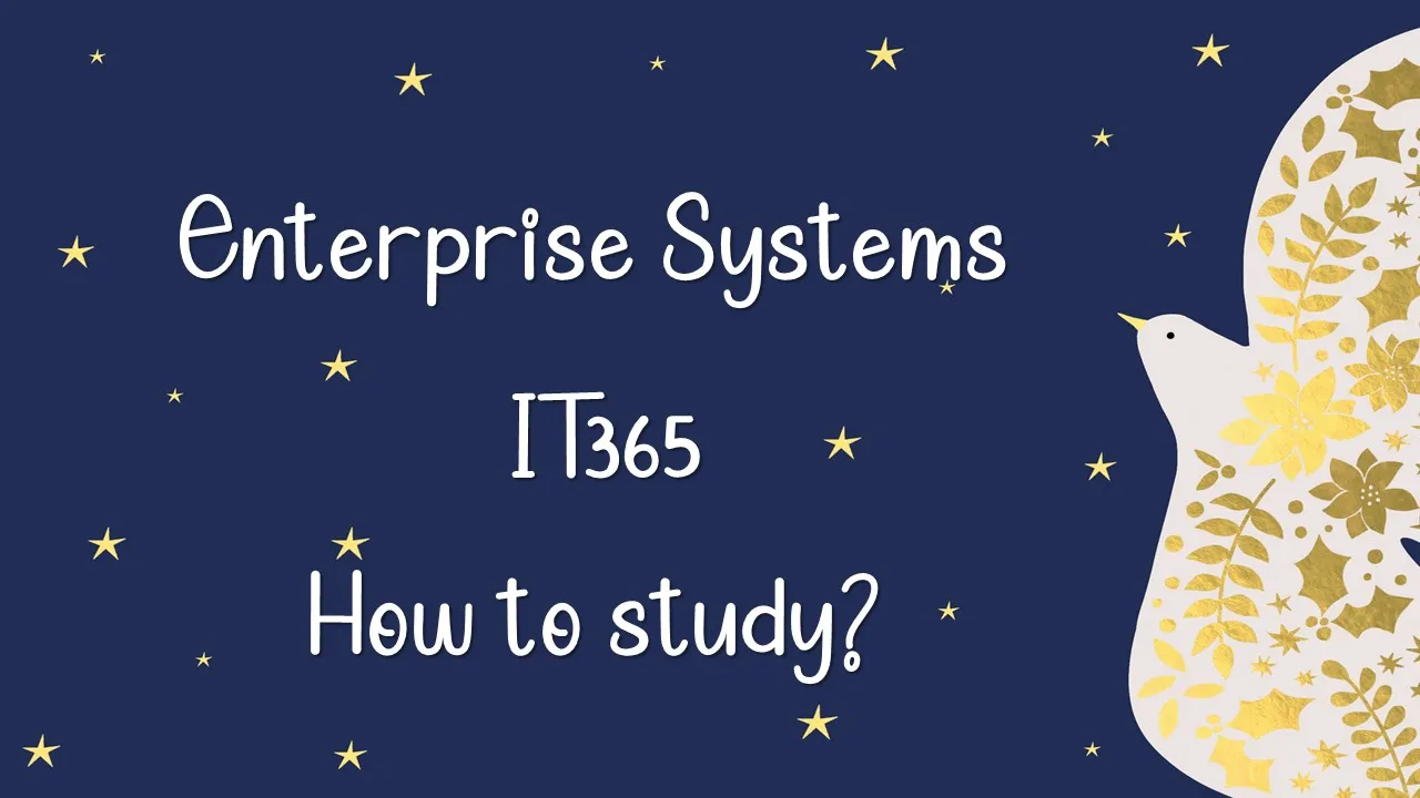 How to Study Enterprise Systems