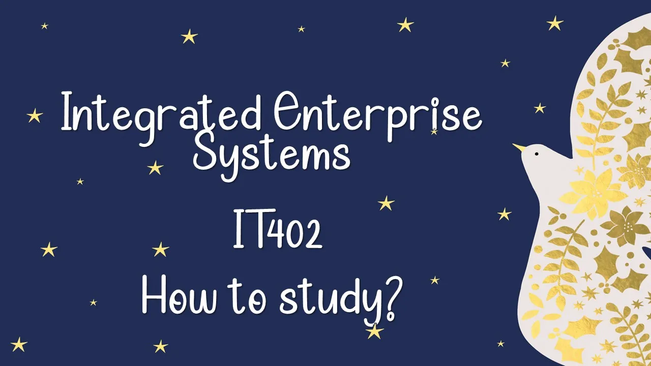 How to Study Integrated Enterprise Systems