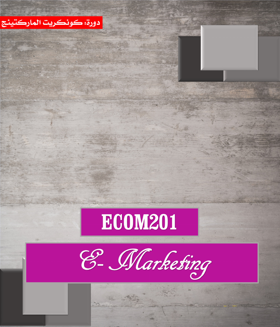 Introduction to E-Management (ECOM201)